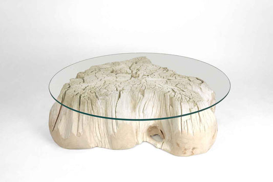 Teak Root Coffee Table