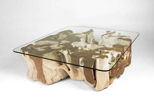 Teak Root Coffee Table H