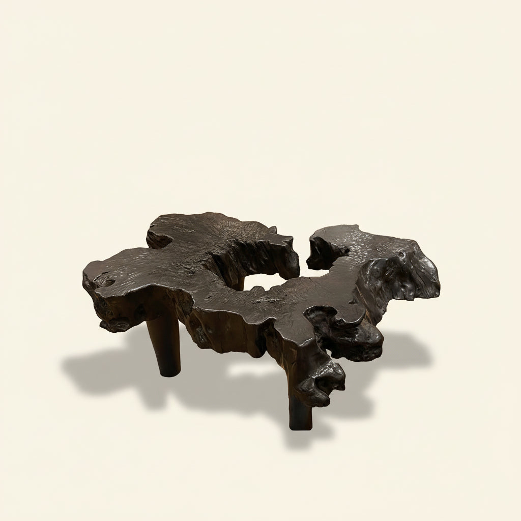 Organic Coffee Table IV
