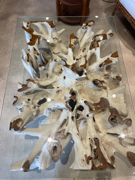 Teak Root Coffee Table D