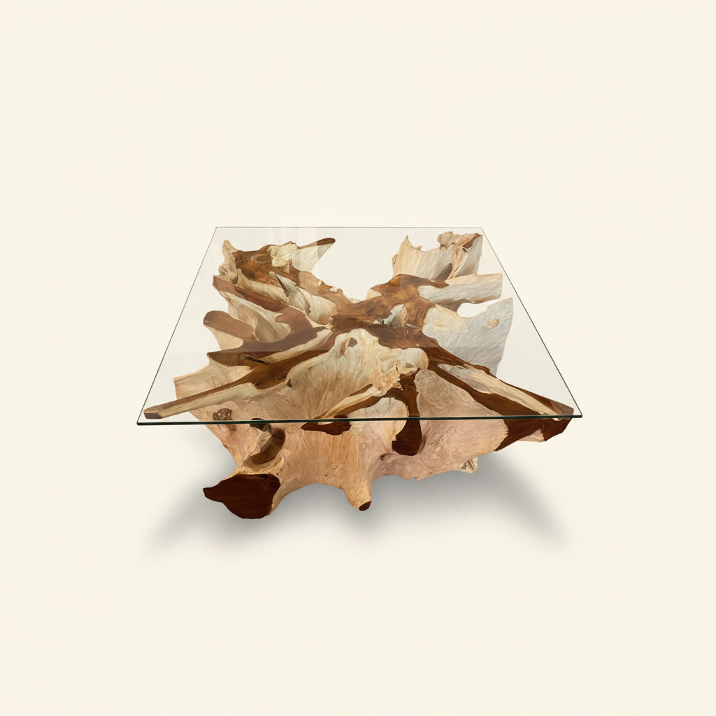 Teak Root Coffee Table I