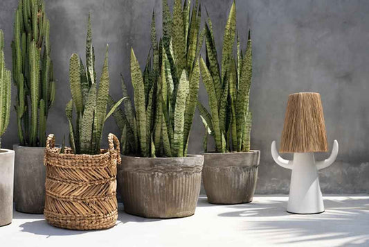 BILLY BOB TABLE LAMP | WHITE + NATURAL