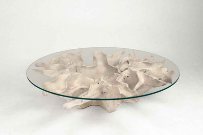 Carved Teak Root Coffee Table