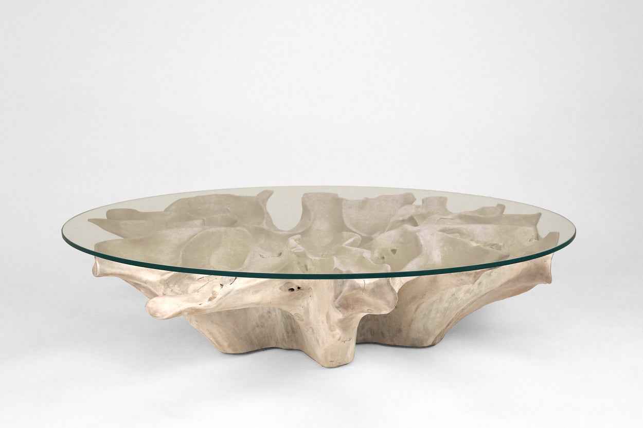 Carved Teak Root Coffee Table