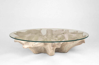 Carved Teak Root Coffee Table