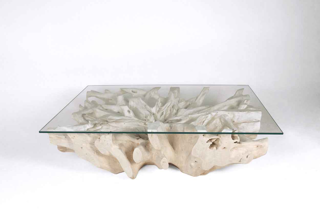 Teak Root Coffee Table F