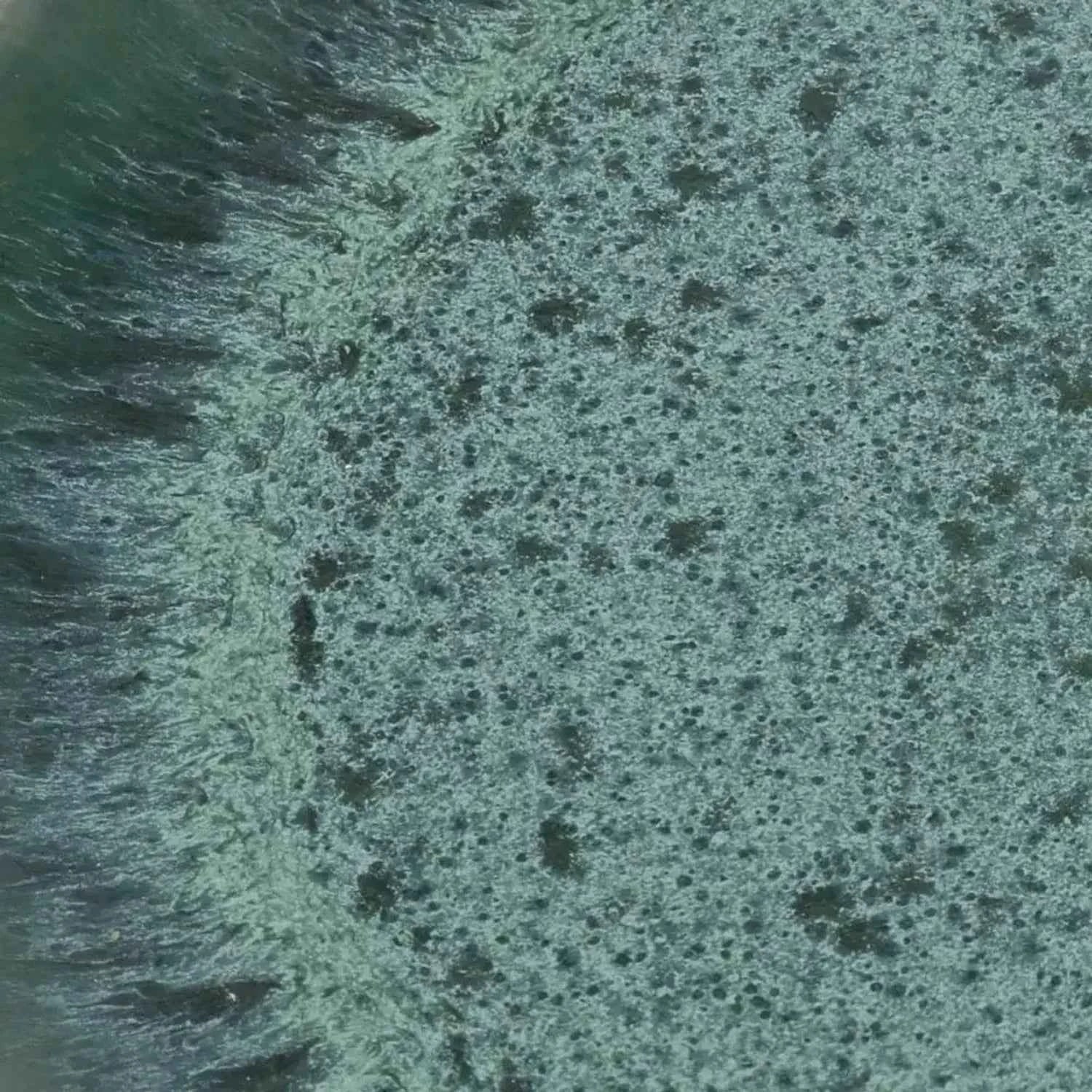 AQUA CERAMIC PASTA PLATE | SET OF 4