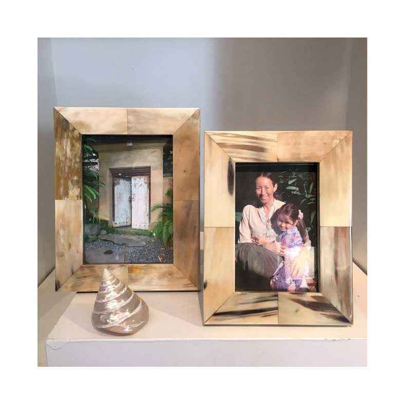 White Horn Frame Collection