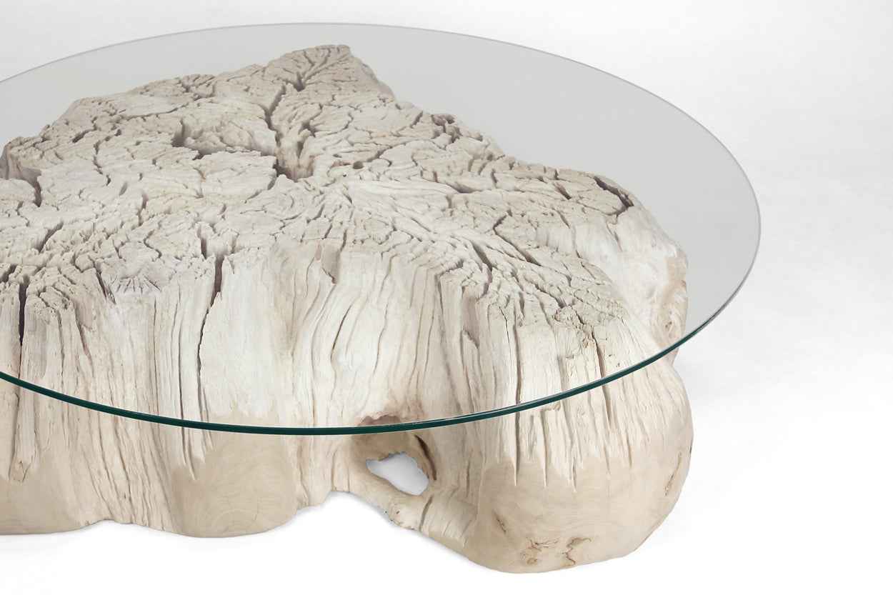 Teak Root Coffee Table