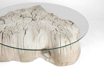 Teak Root Coffee Table