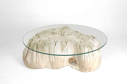 Teak Root Coffee Table