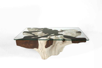 Teak Root Coffee Table C
