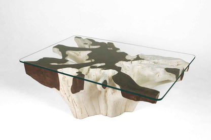Teak Root Coffee Table C