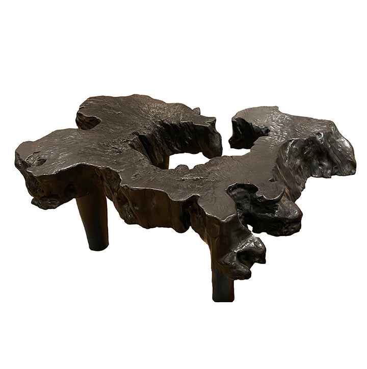 Organic Coffee Table IV