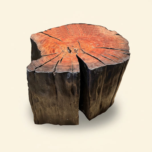 Berm Edge Coffee Table IV