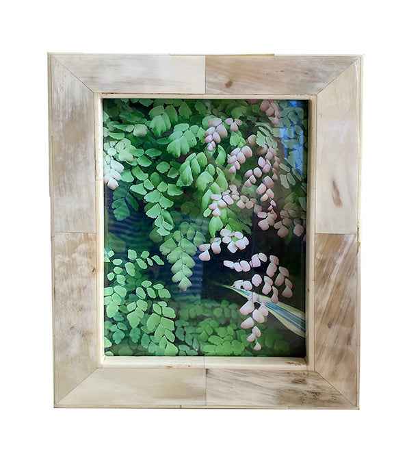 White Horn Frame Collection