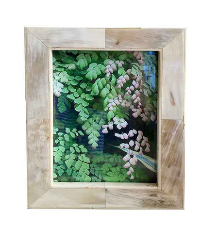 White Horn Frame Collection