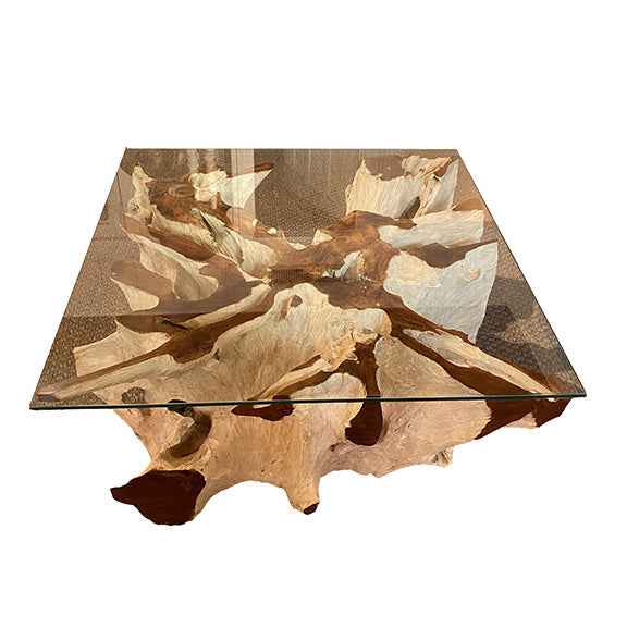 Teak Root Coffee Table I
