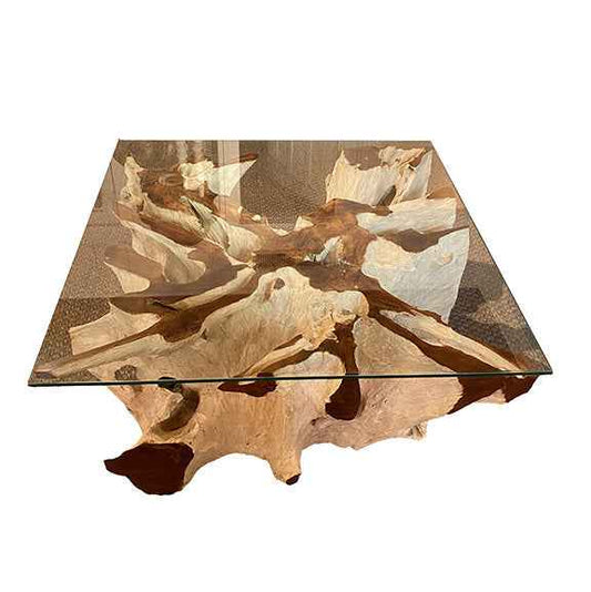 Teak Root Coffee Table I