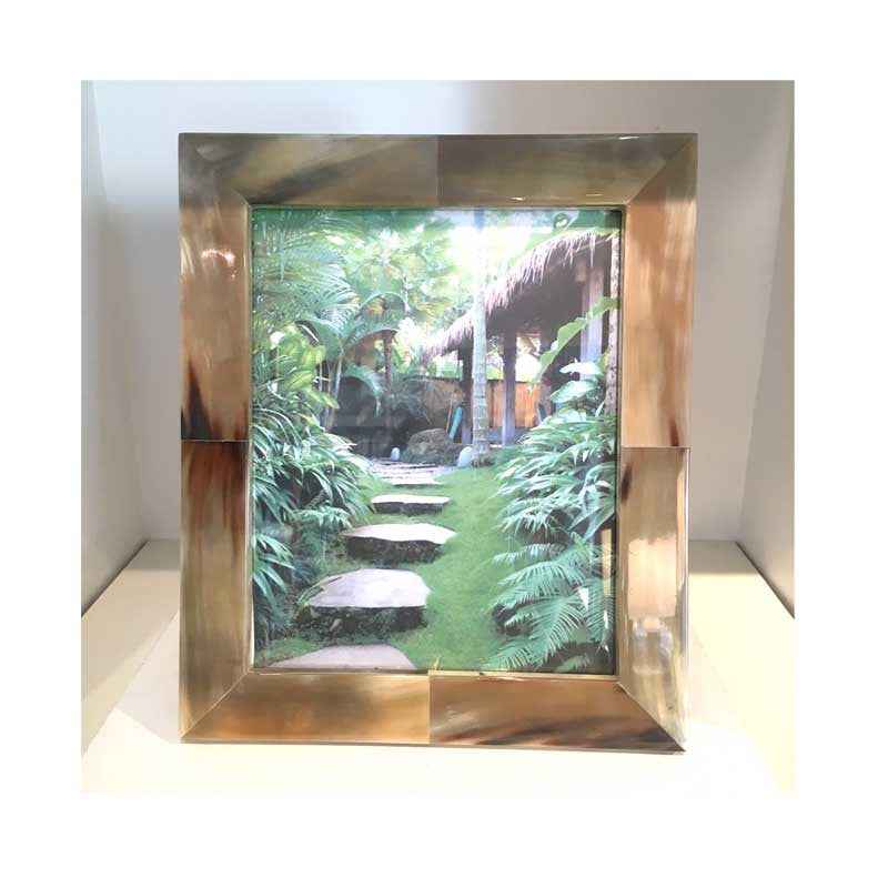 White Horn Frame Collection