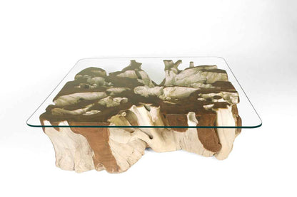 Teak Root Coffee Table H
