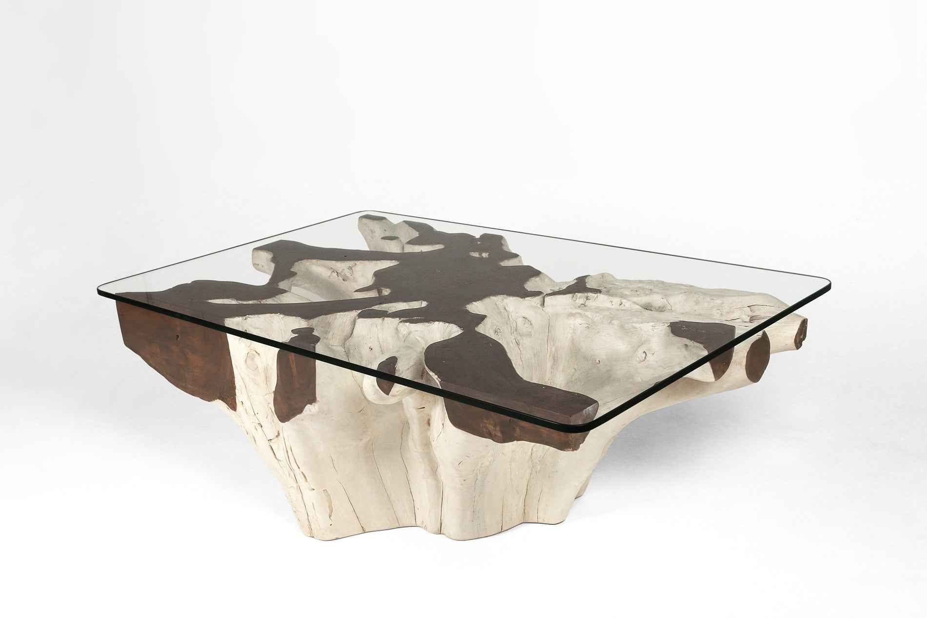 Teak Root Coffee Table C