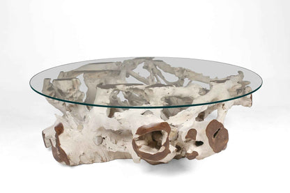 Teak Root Coffee Table G