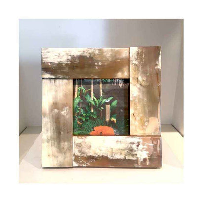 White Horn Frame Collection