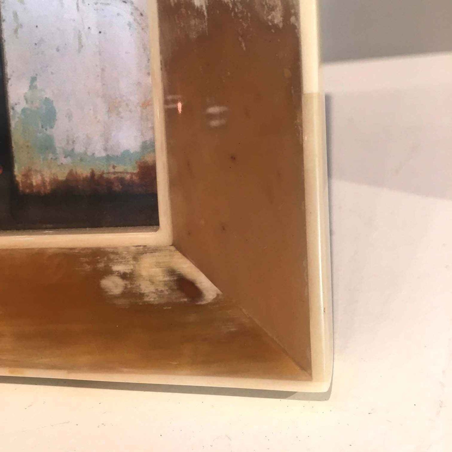 White Horn Frame Collection