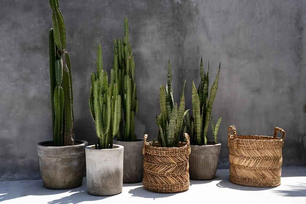 BANANA ZIGZAG BASKETS | 2 SIZES