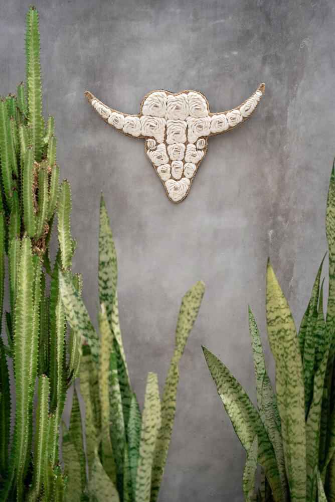 BULL SHELL WALL ART | WHITE