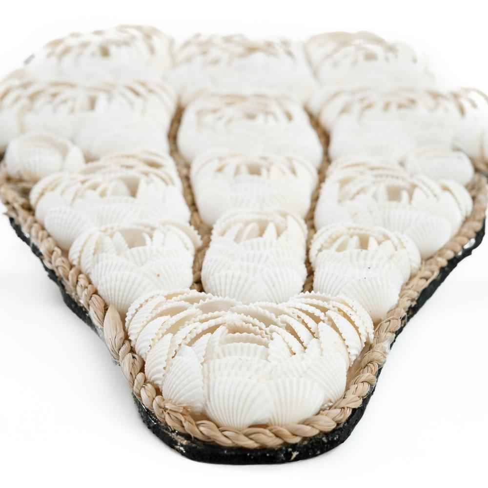 BULL SHELL WALL ART | WHITE