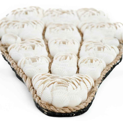BULL SHELL WALL ART | WHITE