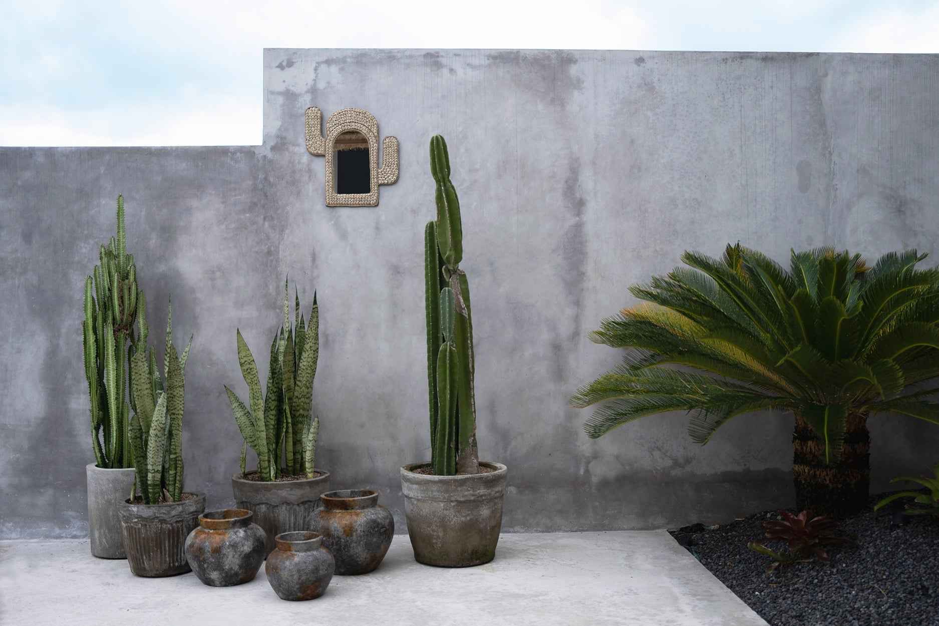 CACTUS SHELL MIRROR | WALL ART | WHITE