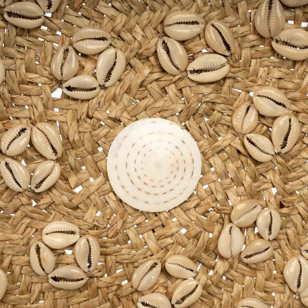 CARIBE SHELL PLATE WALL ART | NATURAL + WHITE