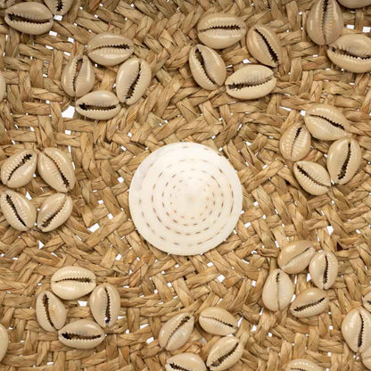 CARIBE SHELL PLATE WALL ART | NATURAL + WHITE