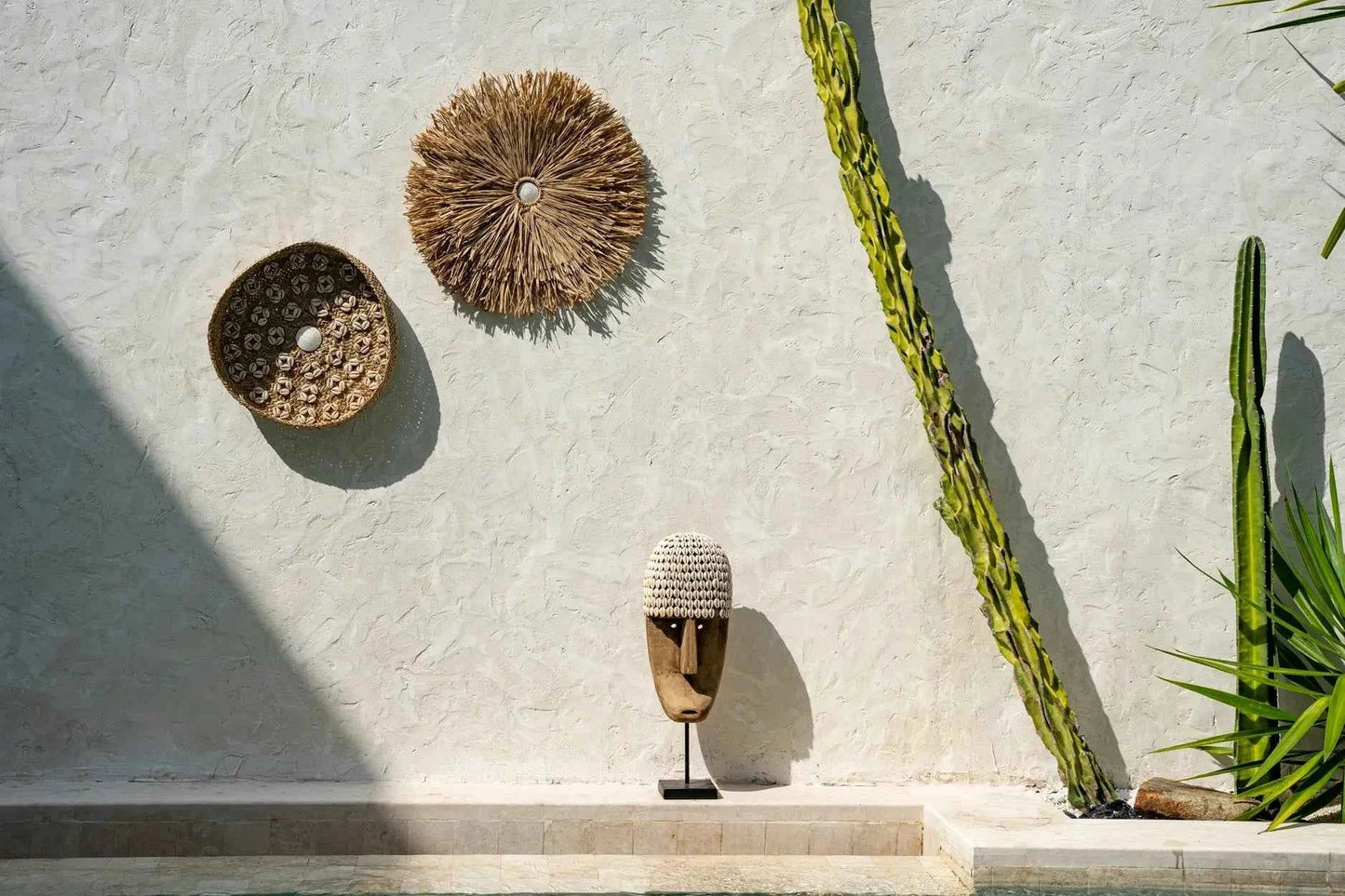CARIBE SHELL PLATE WALL ART | NATURAL + WHITE