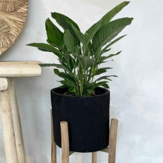 CHALK PLANTER | BLACK | 2 SIZES