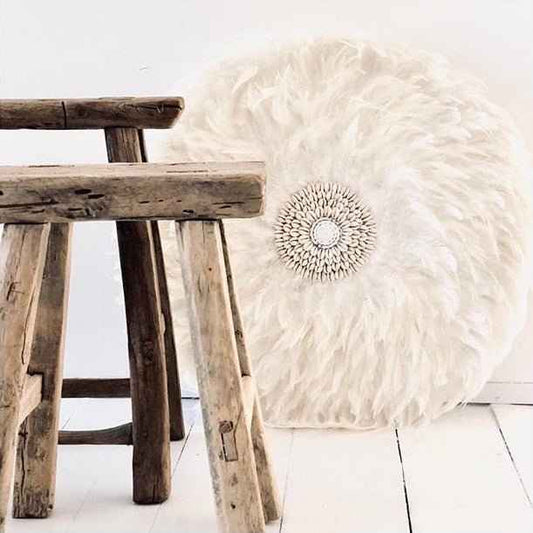 COASTAL FEATHER JUJU / WHITE