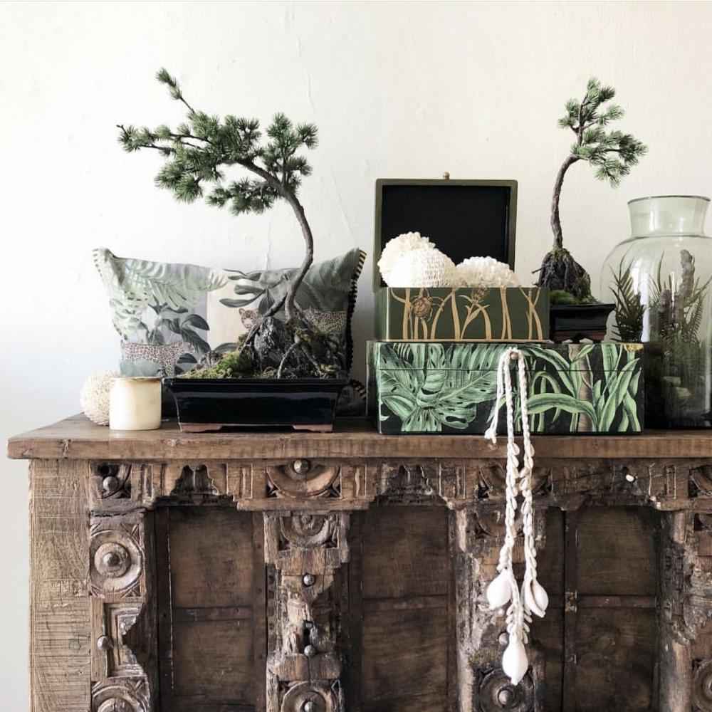 Cowrie Shell Necklace | Natural + White