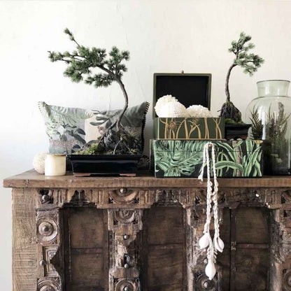 Cowrie Shell Necklace | Natural + White