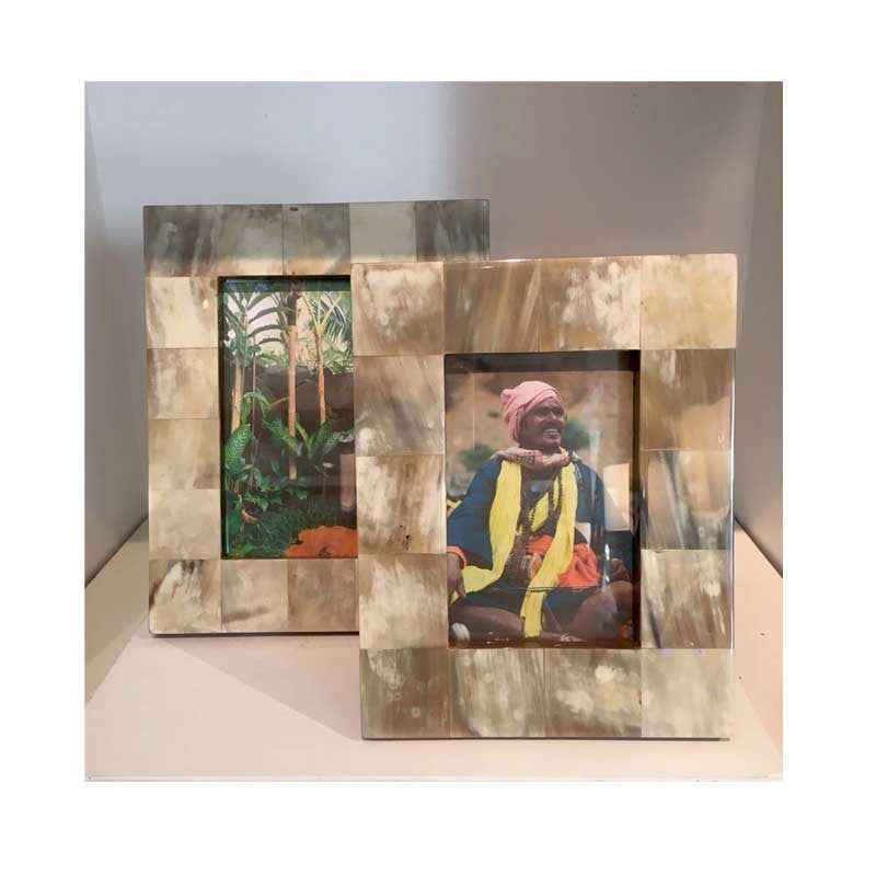 White Horn Frame Collection