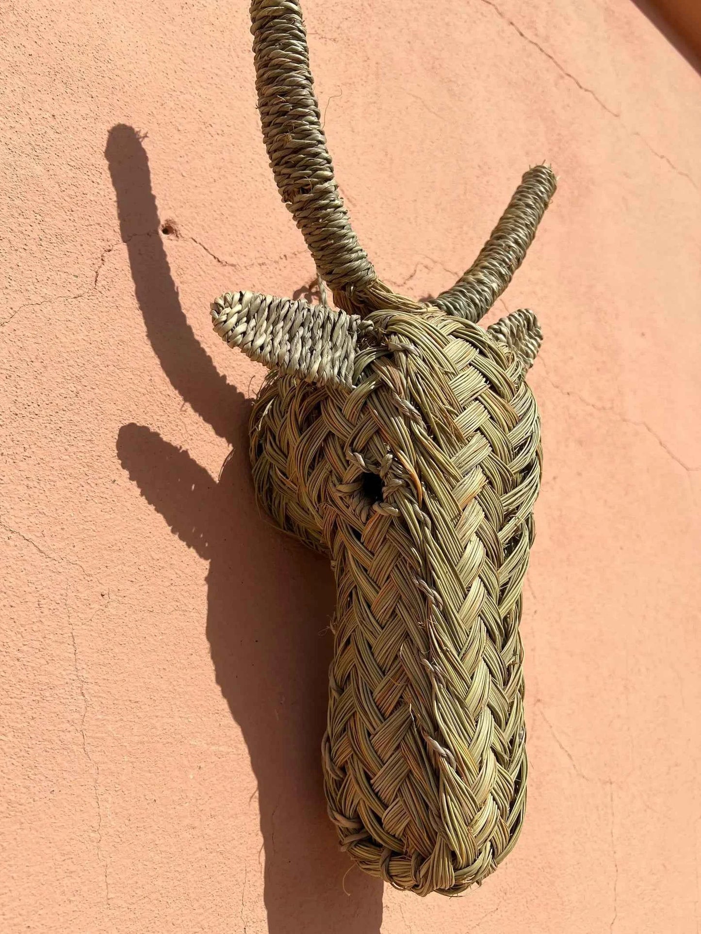 RAFFIA TORO WALL ART