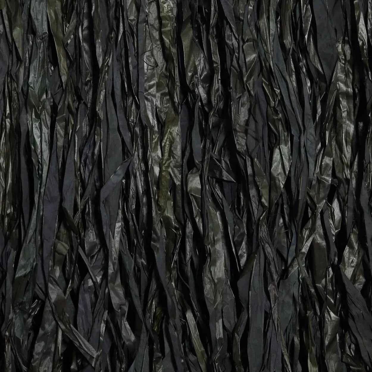 USED TO BE WILD WALL ART | BLACK