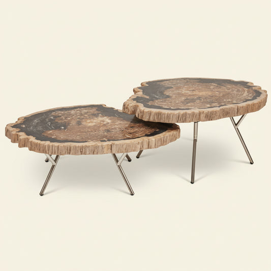 LASTRA PETRIFIED WOOD NESTING COFFEE TABLES: DARK