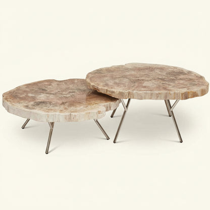 LASTRA PETRIFIED WOOD NESTING COFFEE TABLES: LIGHT
