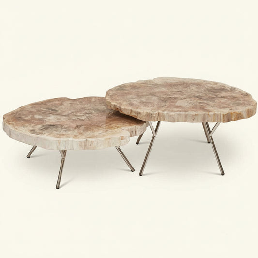LASTRA PETRIFIED WOOD NESTING COFFEE TABLES: LIGHT