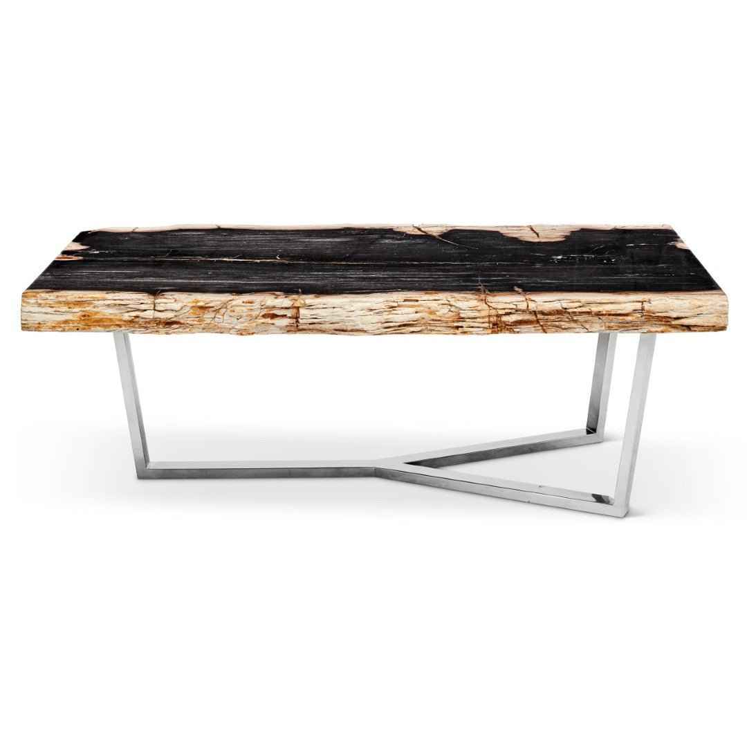 MASSO PETRIFIED WOOD SLAB COFFEE TABLE: DARK
