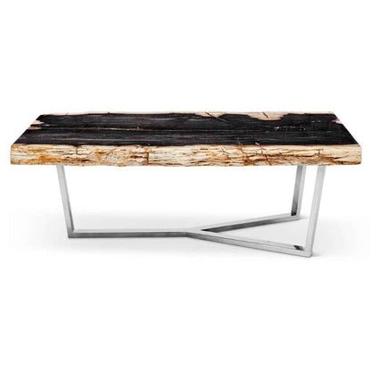 MASSO PETRIFIED WOOD SLAB COFFEE TABLE: DARK