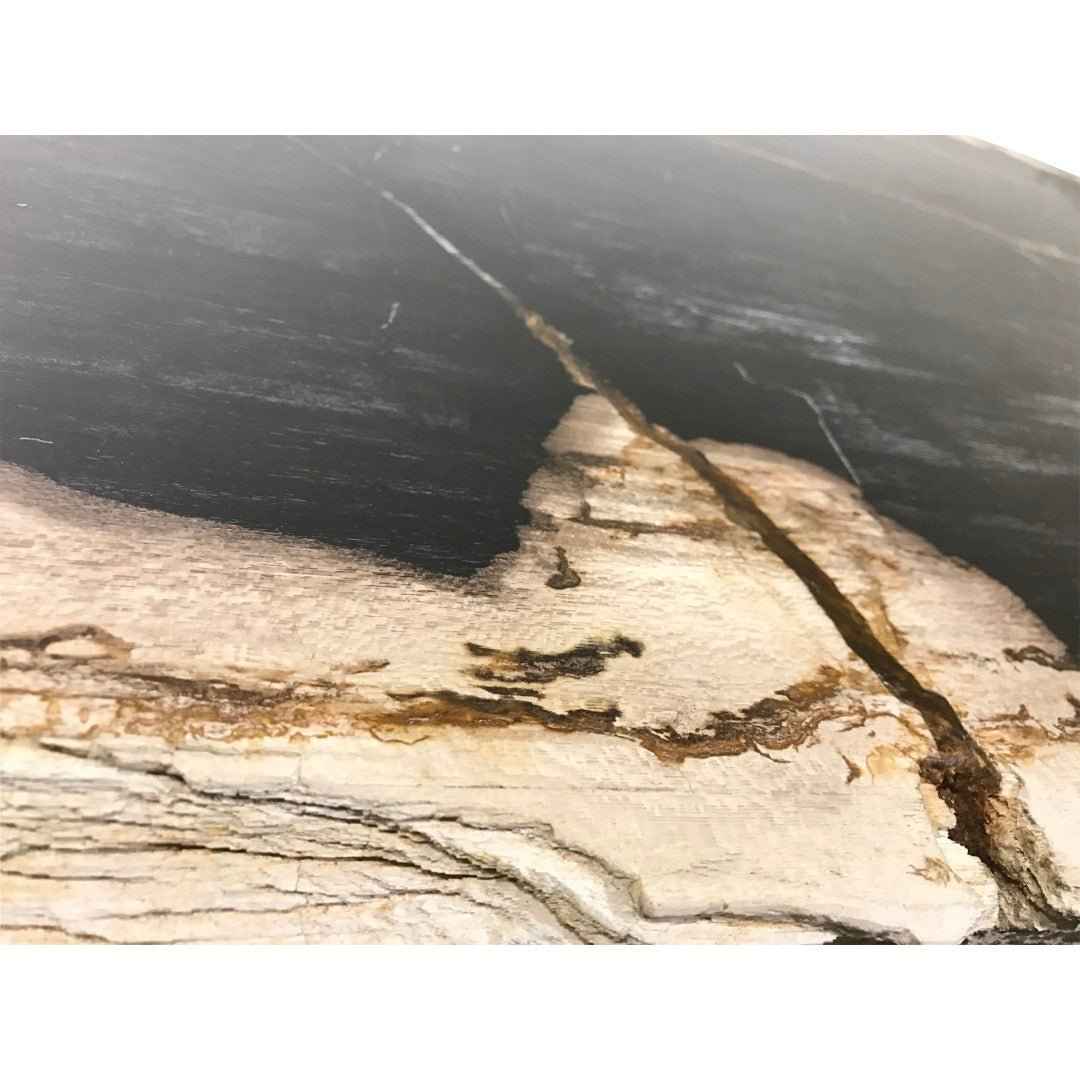 MASSO PETRIFIED WOOD SLAB COFFEE TABLE: DARK